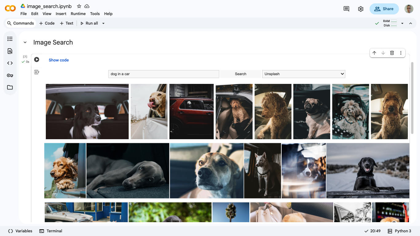 image and video search