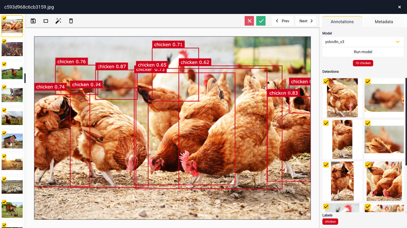 object detection chicken