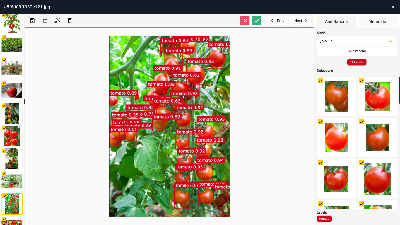object detection tomato